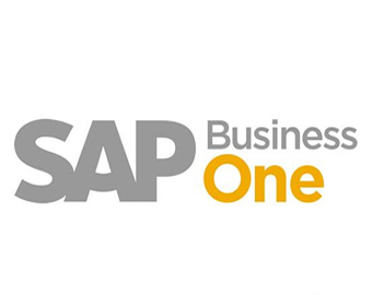 ɽSAP ɽSAP˾ ѡϢ