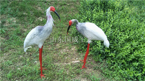 涯ģ