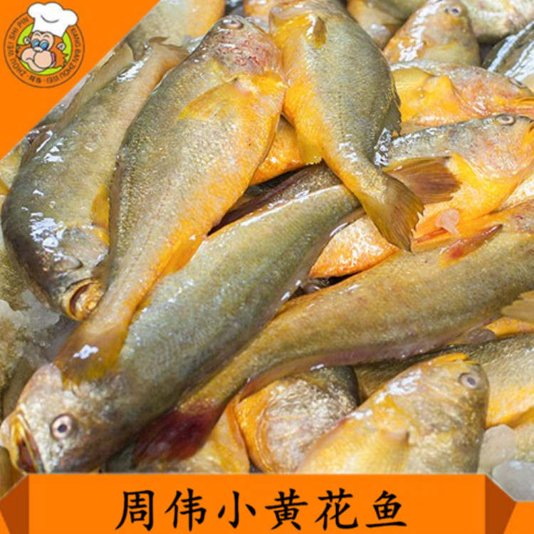 Сƻ䶳СԴ
