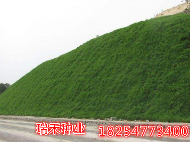 ̻̻ѶǮһ