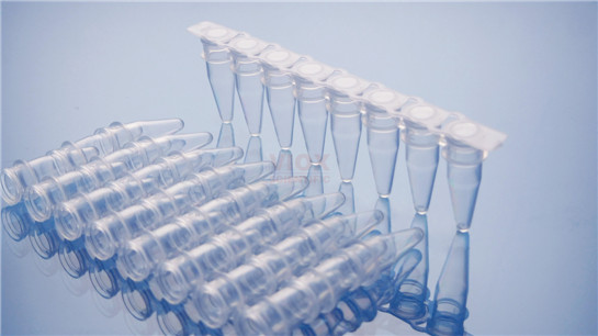 ʵҺĲ0.2ml PCR