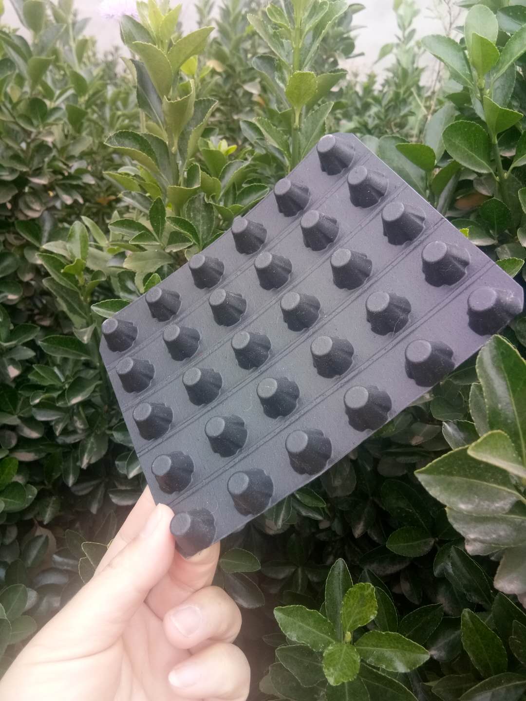 ͹ˮA͹ˮ峧ֱ