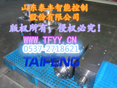 WC67Y-300DG山东常规油缸厂家
