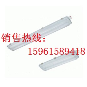 BYS-2X40ȫӫ220Vұ