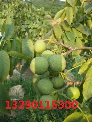 ʵļ 2Ǯһ