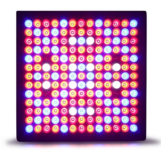 ¿45wֲֲƹ ֲﲹƷ