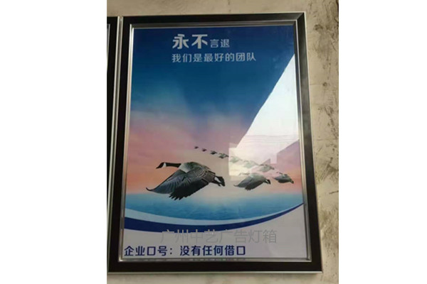 lLEDѡ12곬յ䳧