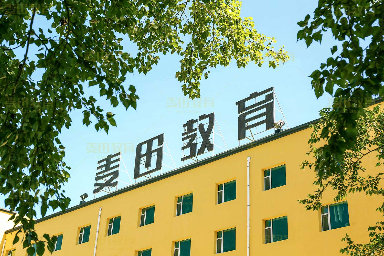 长春哪家艺考生文化课集训辅导班提分快?