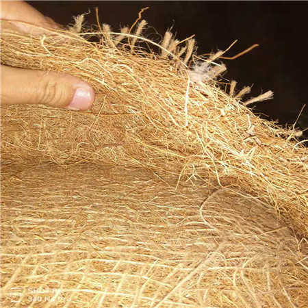 ҹӦӵ̻ˢ Ҭ̺ Ҭ˿̺ ̬Ҭ̺