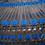 ʳƷõȴ