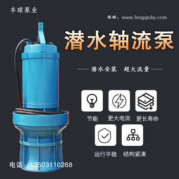 350QZ125-15Ǳˮûùȱ÷