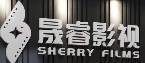 2021年武汉晟睿,摄影宣传片,短视频宣传片