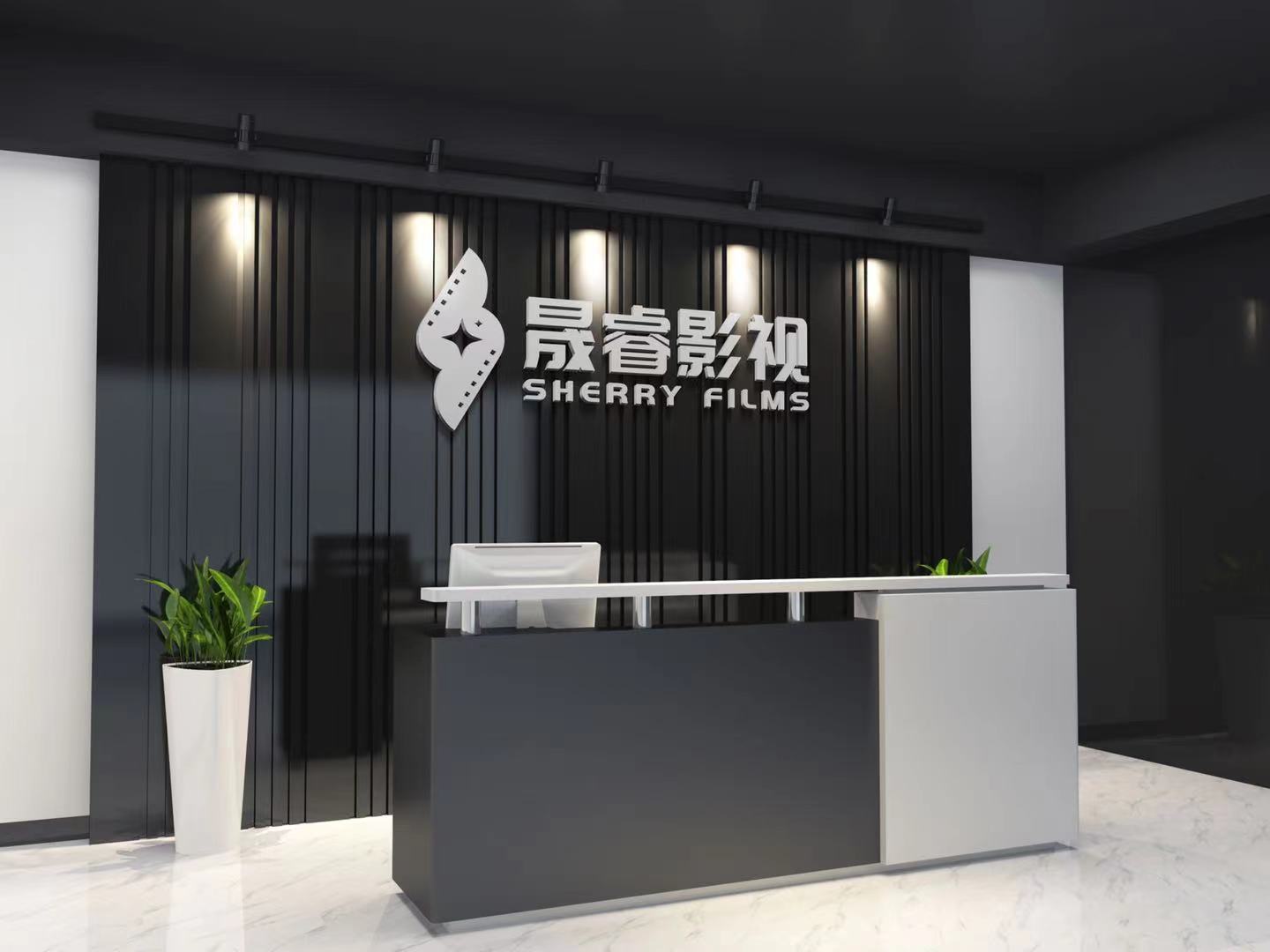 2021年武汉晟睿,宣传片制作拍摄,影视宣传片