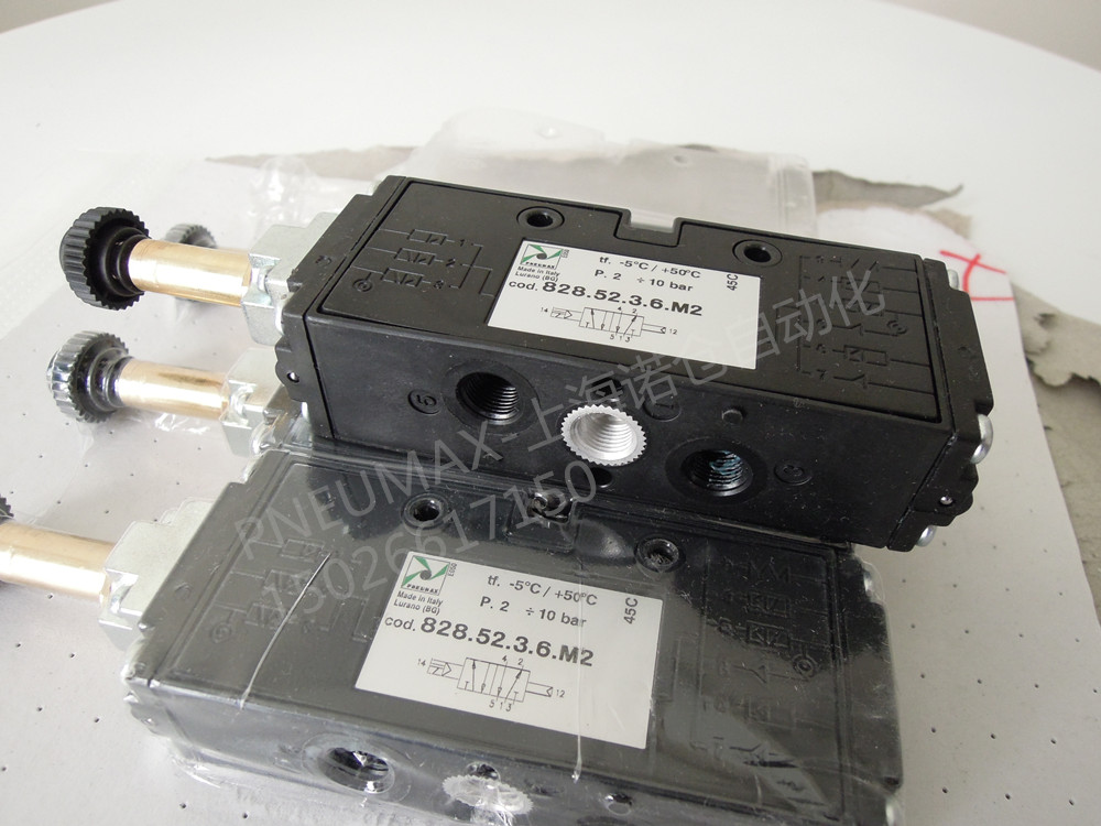 824.52.3.6.M2  PNEUMAXŷ