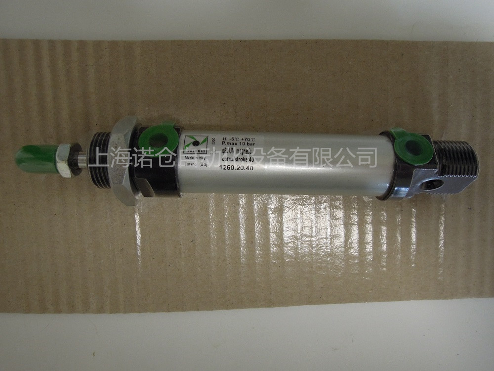 1213.10.5.CF PNEUMAX΢