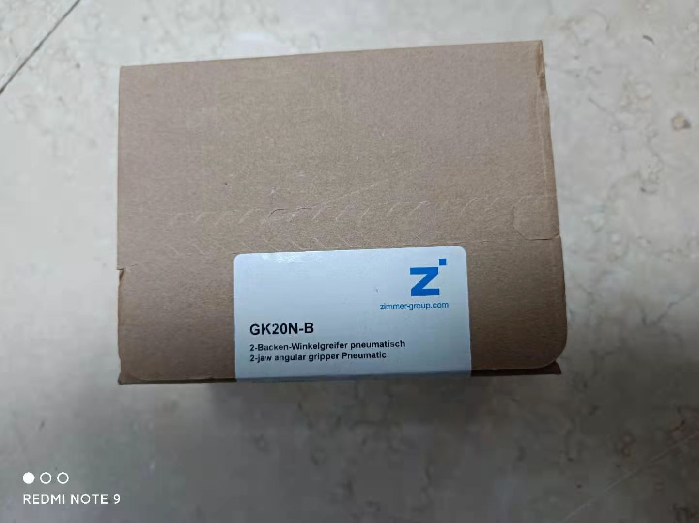 Ӧ¹ZimmerSM1SA