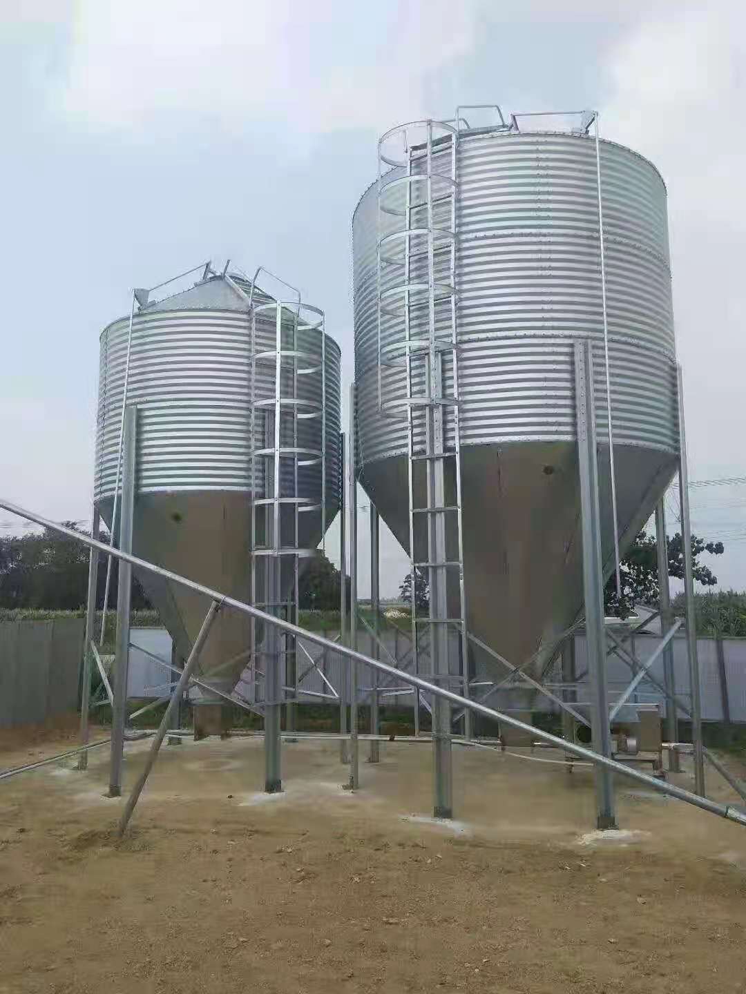 Զ϶пȫԶпƲũ