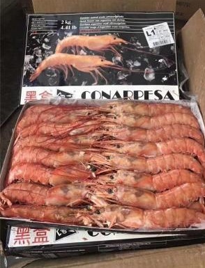 ڱˮƷС