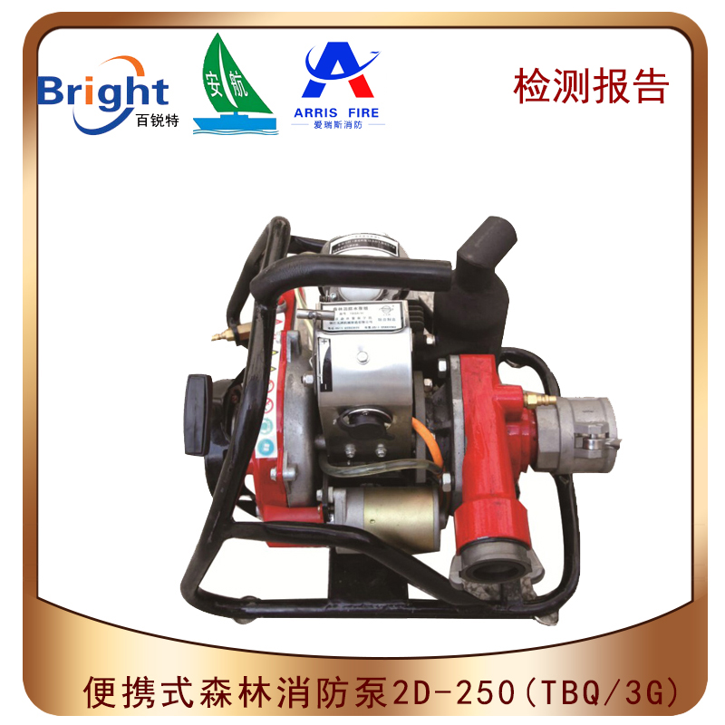 2D-250(TBQ8/3G)ʽѹɭ