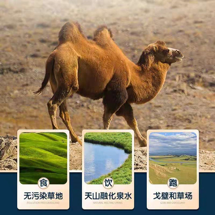 Ա ̱ɴӹ