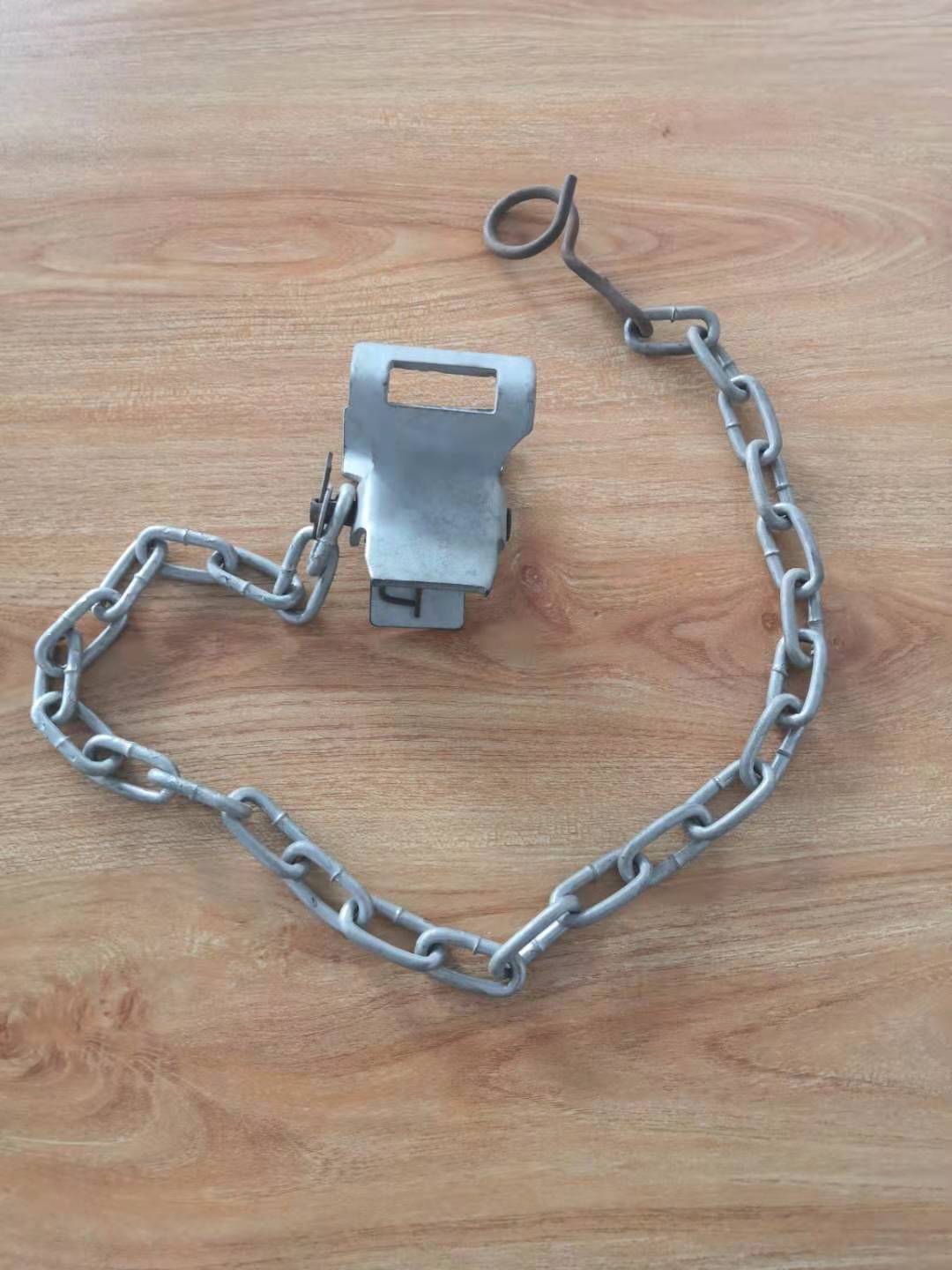÷ 1.5׳ ǿ1.0׷