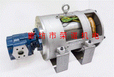 SB油浸式电机 45KW 4级 SBBL4P303