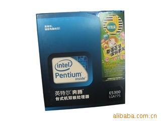 CPUIntel˫E5300()