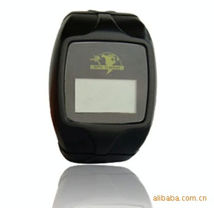TK202GPSTracker