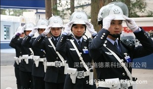 GPSϵͺ