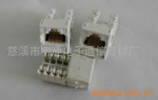 CAT5e模块(图)