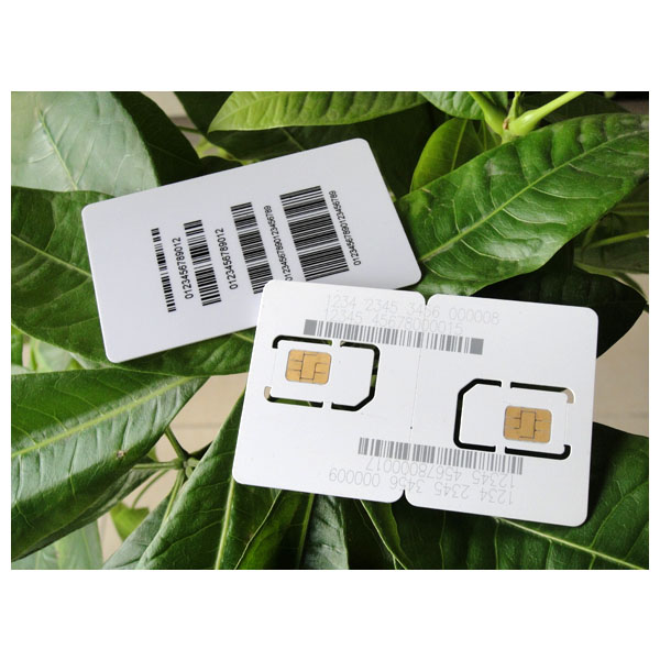 IC