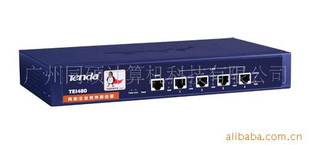ڴ480WAN/·