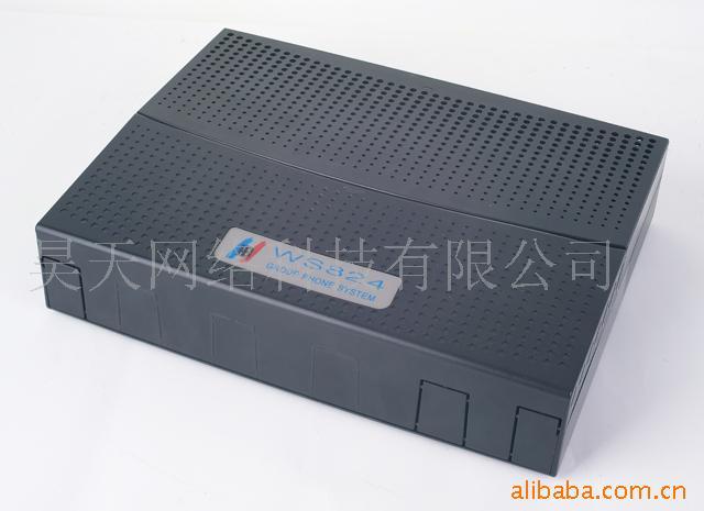 WS8244Dͽ