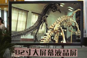 82峬խҺʾ-DID-82