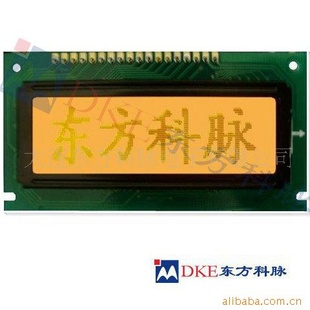 DM12232-01Һʾģ