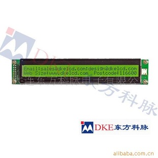 DM4002LCDҺʾģ