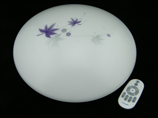 ֱledңص2.4g