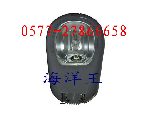 ӦNLC9600·