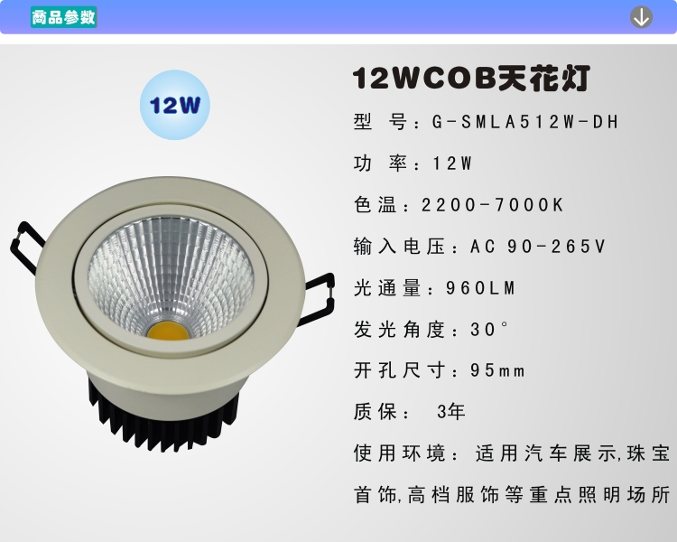 GMALEDǶʽCOB컨12W