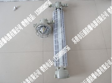 12WƣԲͣͣLED