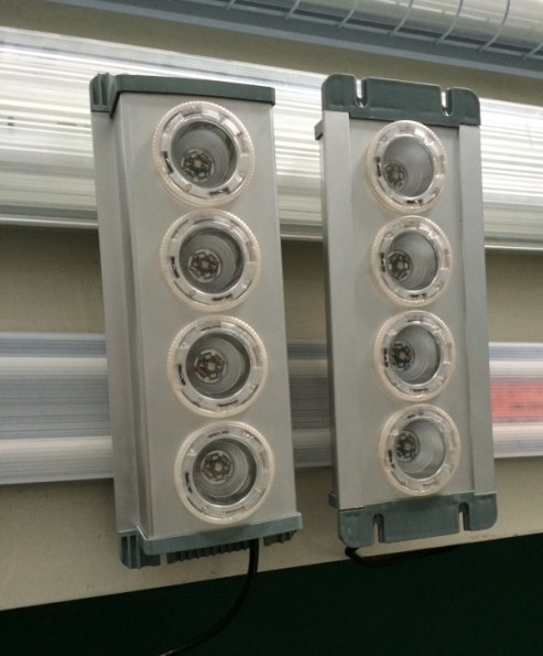 NFE9121LED-NFE9121