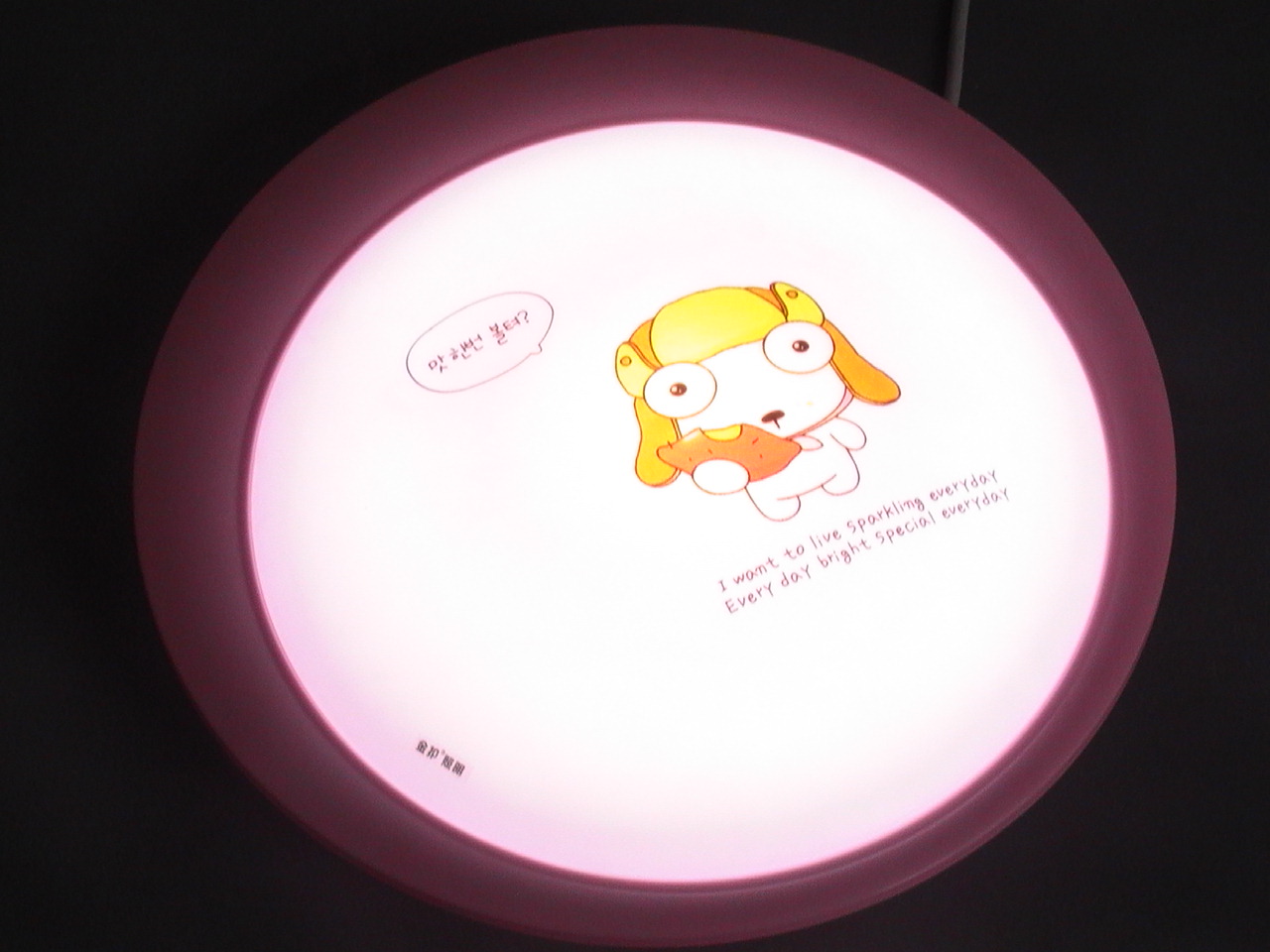 ˫LEDƿͨ