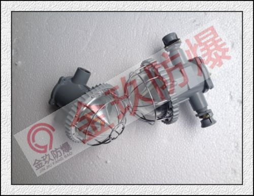 DGS18/127L(A)LED