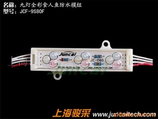 LED߲ʷˮģ