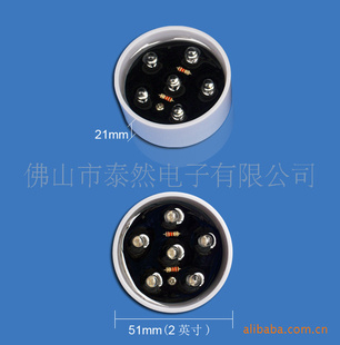 ˮLEDģ2ӢС