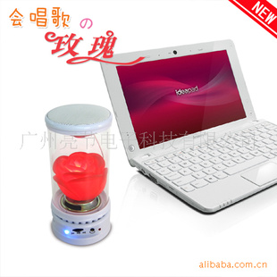 ˽Ʒᳪõ廨