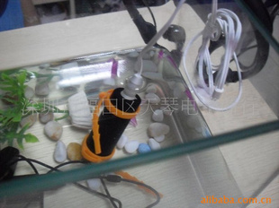 MP3ֲˮMP38ˮӹ