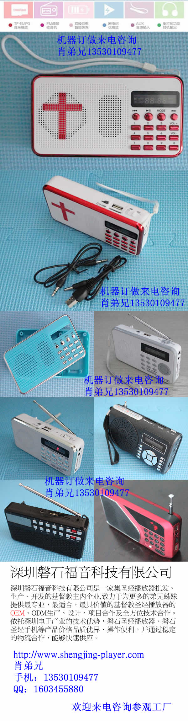 ʥ_ʥ۸񱨼_OEM_