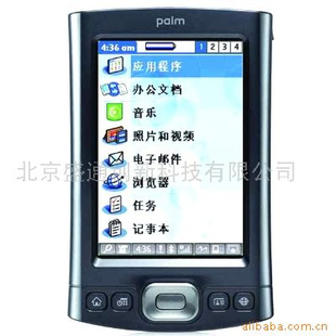 (Palm)TXϵ