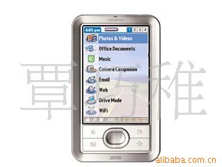 palmϵLifeDrive